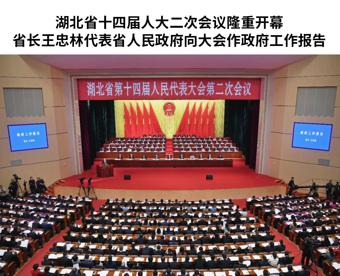 微特董事長聶道靜參加湖北省第十四屆人大二次會議并發言